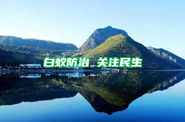 白蟻防治 關(guān)注民生