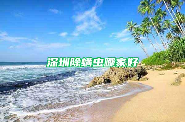 深圳除螨蟲哪家好