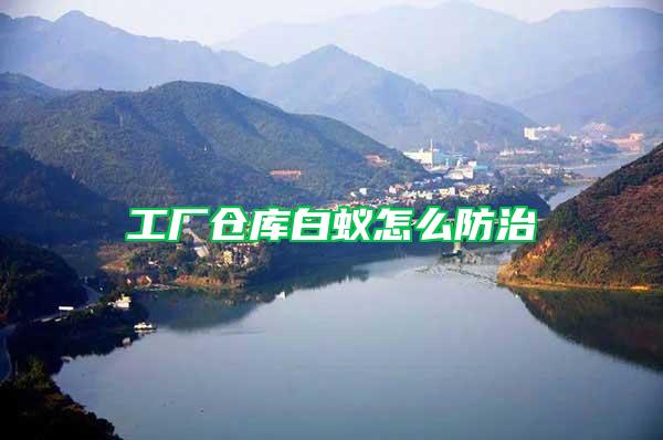 工廠倉庫白蟻怎么防治