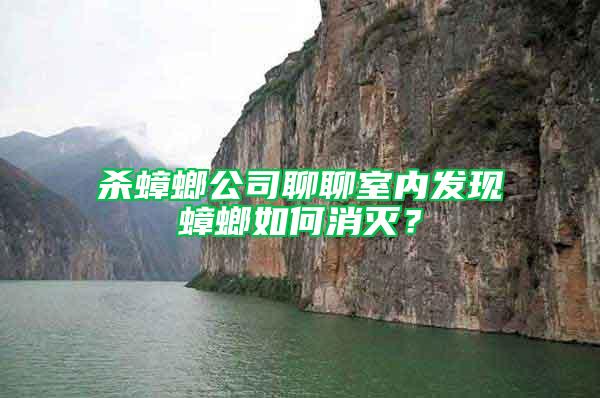 殺蟑螂公司聊聊室內(nèi)發(fā)現(xiàn)蟑螂如何消滅？
