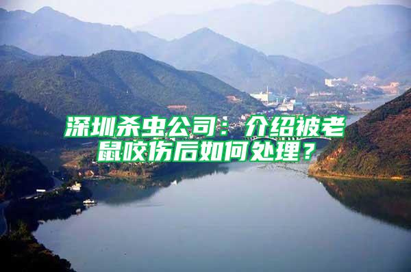 深圳殺蟲公司：介紹被老鼠咬傷后如何處理？