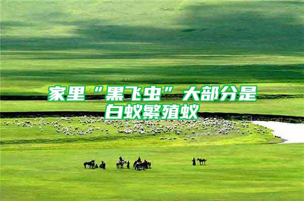家里“黑飛蟲”大部分是白蟻繁殖蟻
