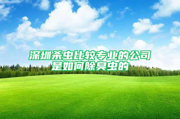 深圳殺蟲(chóng)比較專業(yè)的公司是如何除臭蟲(chóng)的