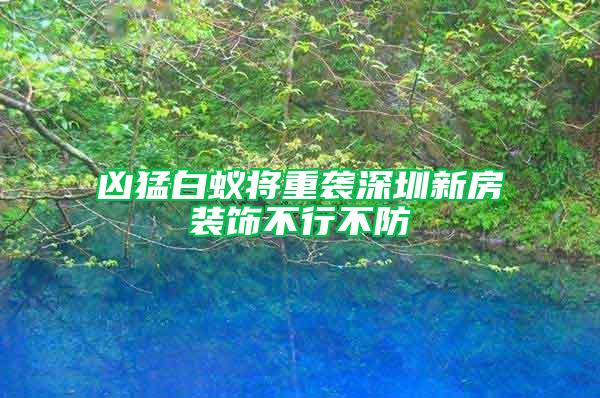 兇猛白蟻將重襲深圳新房裝飾不行不防
