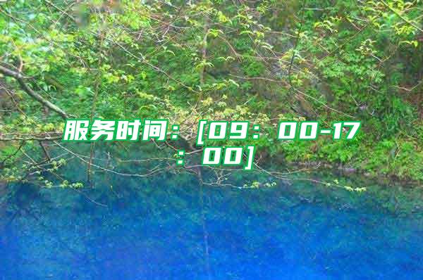服務(wù)時間：[09：00-17：00]