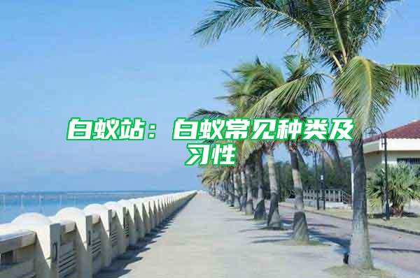 白蟻站：白蟻常見種類及習(xí)性