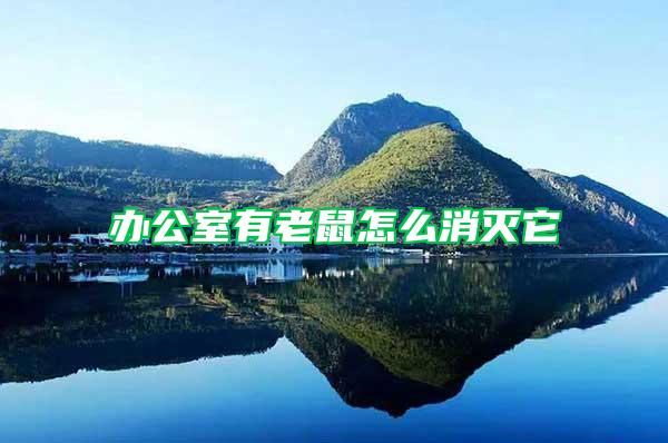 辦公室有老鼠怎么消滅它