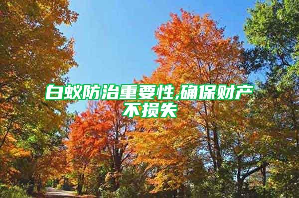 白蟻防治重要性,確保財產(chǎn)不損失