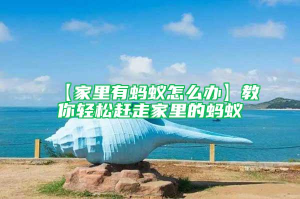 【家里有螞蟻怎么辦】教你輕松趕走家里的螞蟻