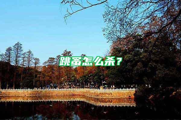 跳蚤怎么殺？