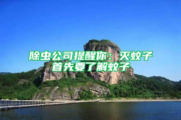除蟲公司提醒你：滅蚊子首先要了解蚊子