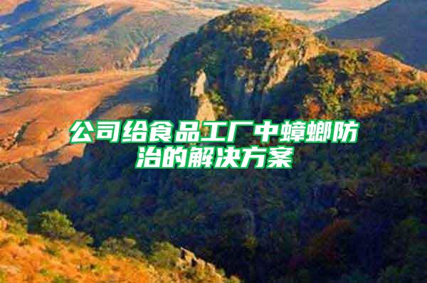 公司給食品工廠中蟑螂防治的解決方案
