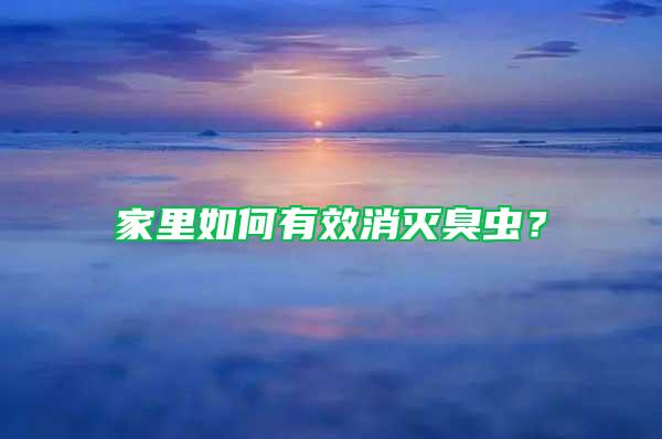 家里如何有效消滅臭蟲？