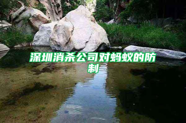 深圳消殺公司對螞蟻的防制