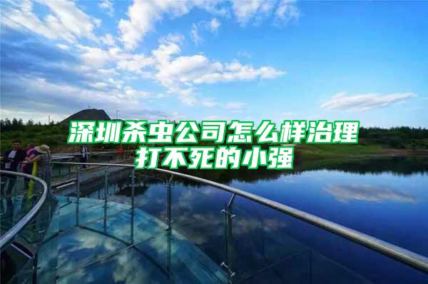 深圳殺蟲公司怎么樣治理打不死的小強