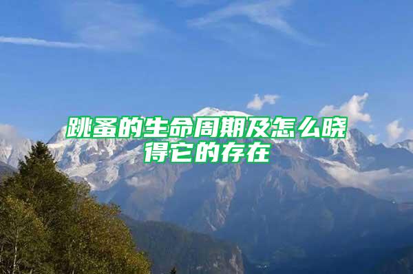 跳蚤的生命周期及怎么曉得它的存在