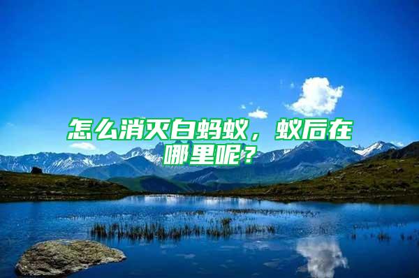 怎么消滅白螞蟻，蟻后在哪里呢？