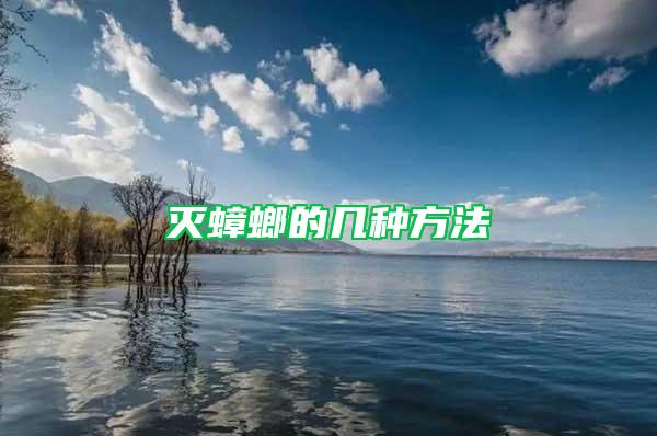滅蟑螂的幾種方法