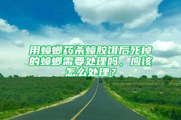 用蟑螂藥殺蟑膠餌后死掉的蟑螂需要處理嗎，應(yīng)該怎么處理？
