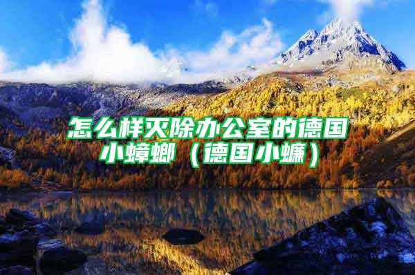 怎么樣滅除辦公室的德國(guó)小蟑螂（德國(guó)小蠊）