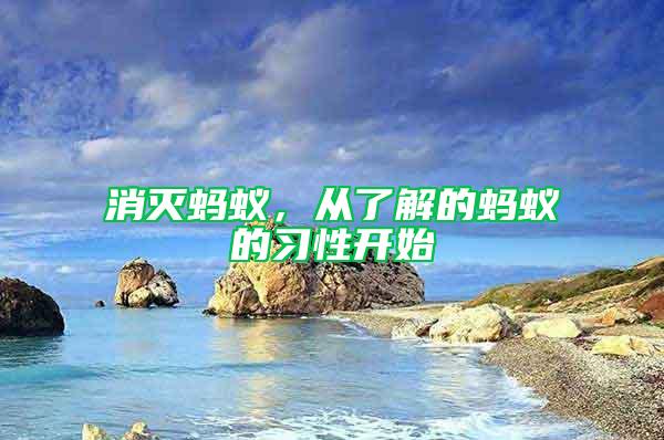消滅螞蟻，從了解的螞蟻的習(xí)性開始