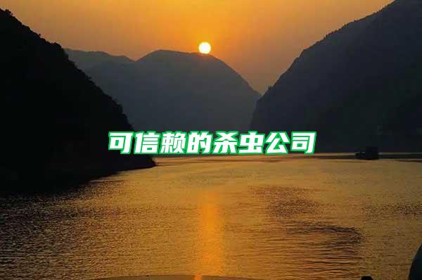 可信賴的殺蟲公司