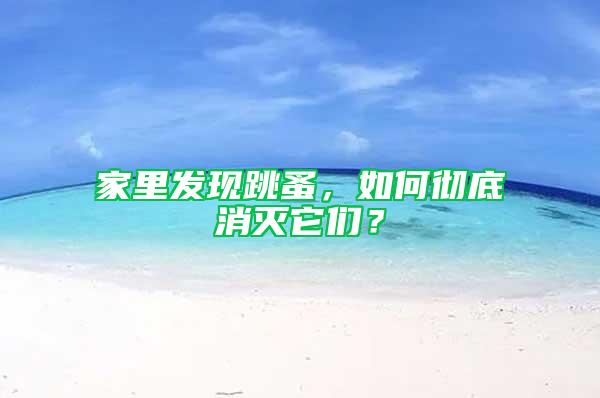 家里發(fā)現(xiàn)跳蚤，如何徹底消滅它們？