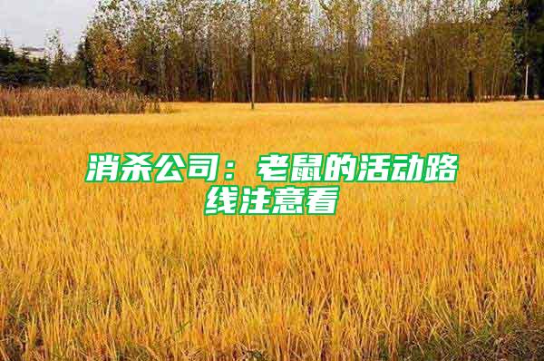 消殺公司：老鼠的活動路線注意看