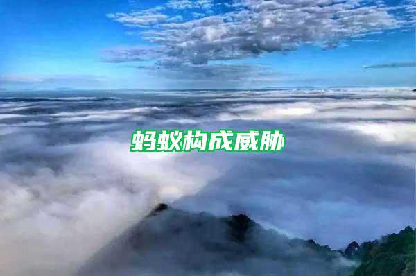 螞蟻構(gòu)成威脅