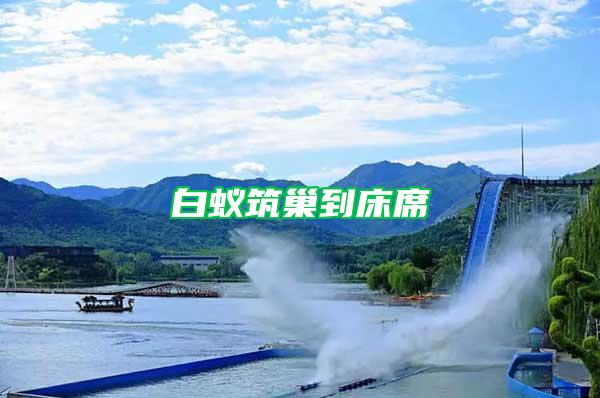 白蟻筑巢到床席