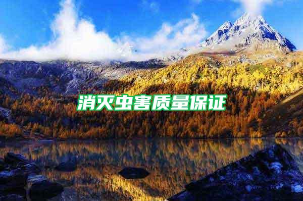 消滅蟲害質(zhì)量保證