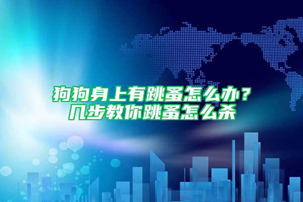 狗狗身上有跳蚤怎么辦？幾步教你跳蚤怎么殺