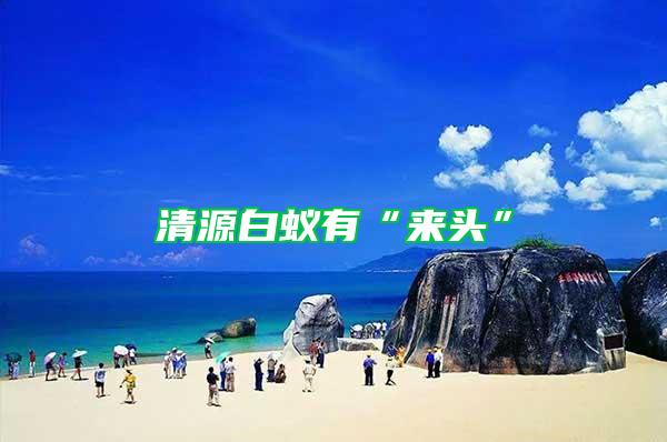 清源白蟻有“來頭”
