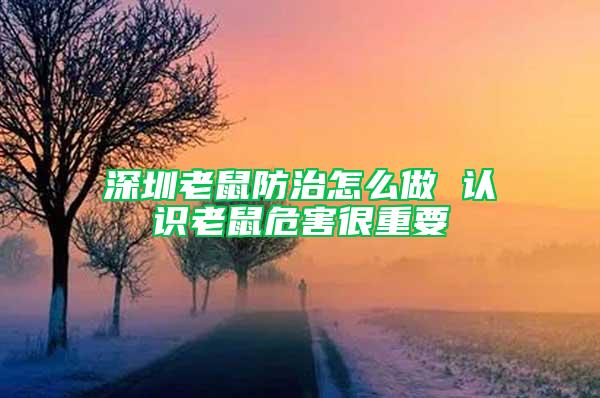 深圳老鼠防治怎么做 認(rèn)識(shí)老鼠危害很重要