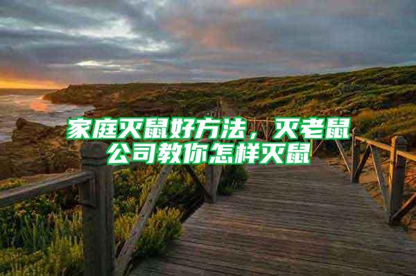 家庭滅鼠好方法，滅老鼠公司教你怎樣滅鼠
