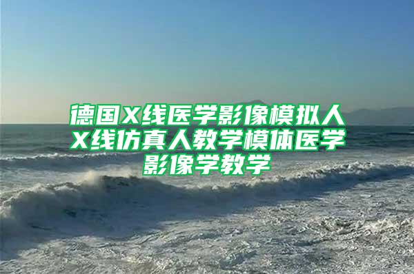 德國X線醫(yī)學(xué)影像模擬人X線仿真人教學(xué)模體醫(yī)學(xué)影像學(xué)教學(xué)
