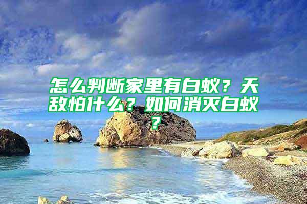 怎么判斷家里有白蟻？天敵怕什么？如何消滅白蟻？