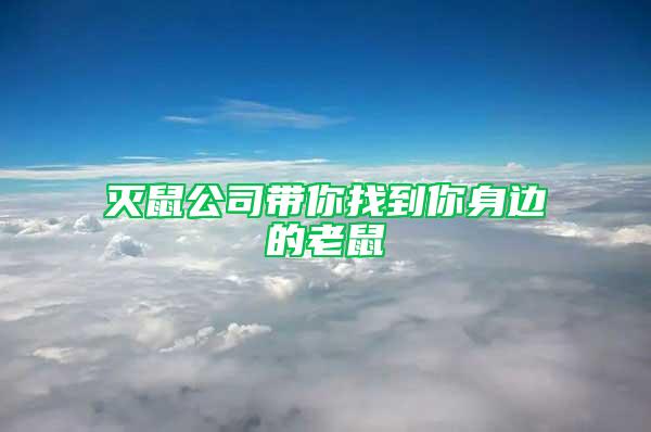 滅鼠公司帶你找到你身邊的老鼠