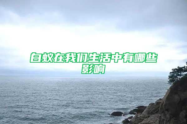 白蟻在我們生活中有哪些影響
