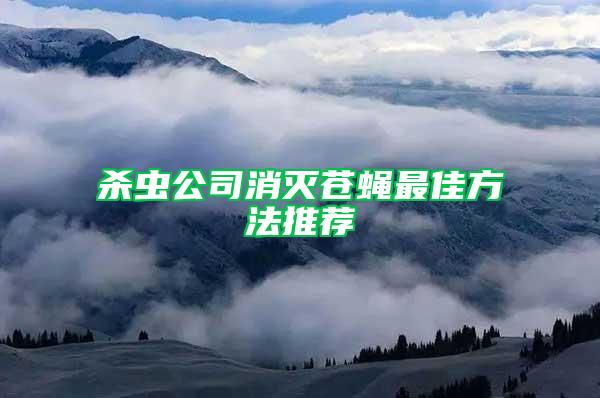 殺蟲公司消滅蒼蠅最佳方法推薦