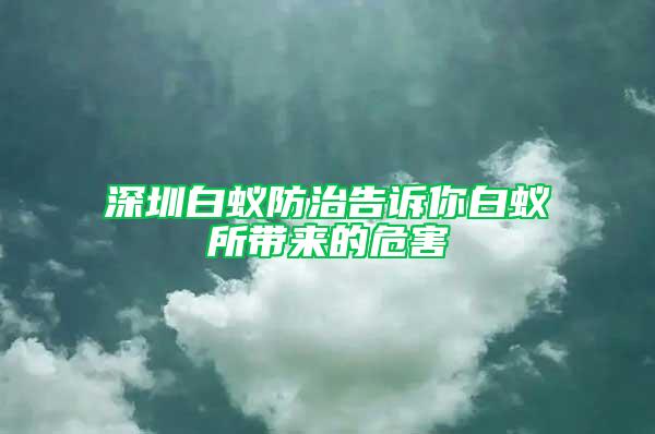 深圳白蟻防治告訴你白蟻所帶來(lái)的危害