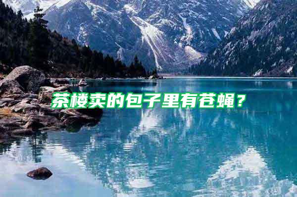 茶樓賣的包子里有蒼蠅？