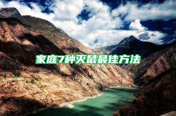 家庭7種滅鼠最佳方法