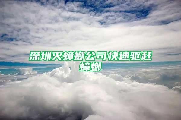 深圳滅蟑螂公司快速驅(qū)趕蟑螂