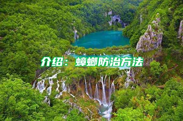 介紹：蟑螂防治方法
