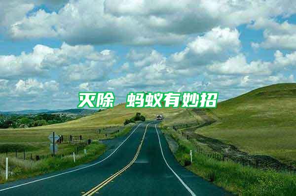 滅除 螞蟻有妙招