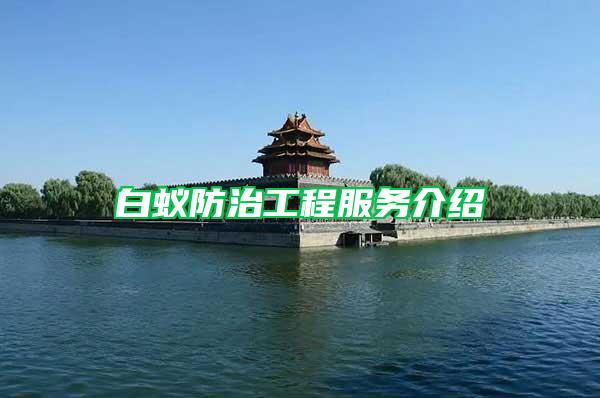 白蟻防治工程服務介紹