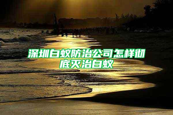 深圳白蟻防治公司怎樣徹底滅治白蟻