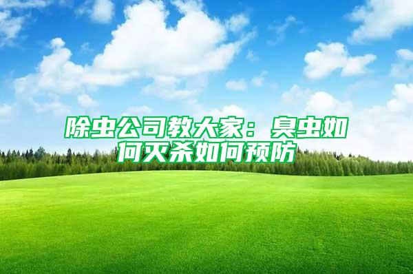 除蟲公司教大家：臭蟲如何滅殺如何預(yù)防