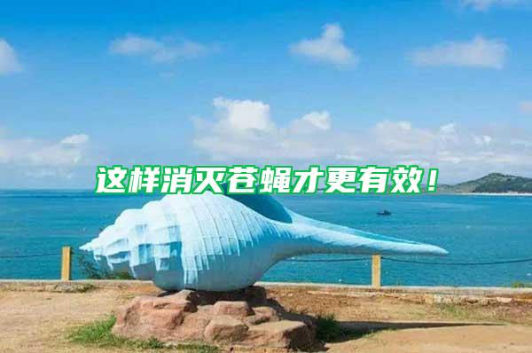 這樣消滅蒼蠅才更有效！